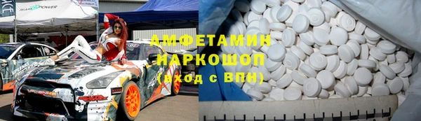 гидра Инта