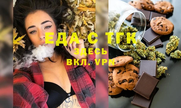 гидра Инта
