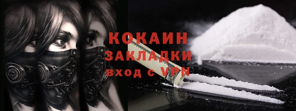 гидра Инта