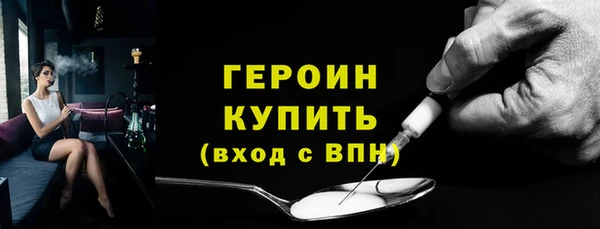 гидра Инта