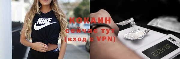 гидра Инта