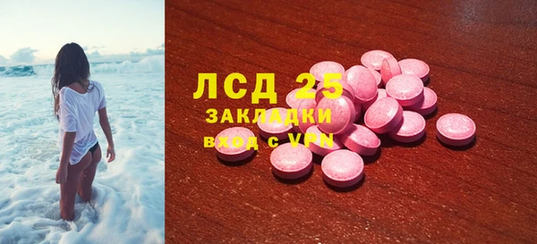 гидра Инта