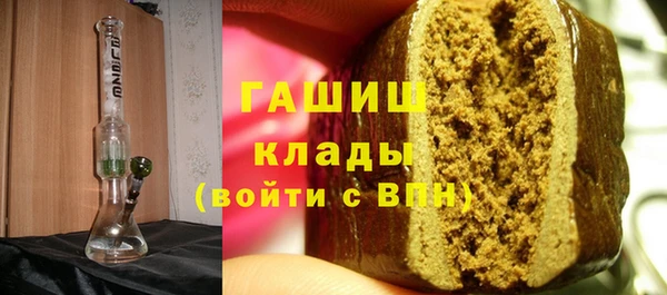 гидра Инта