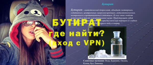 гидра Инта