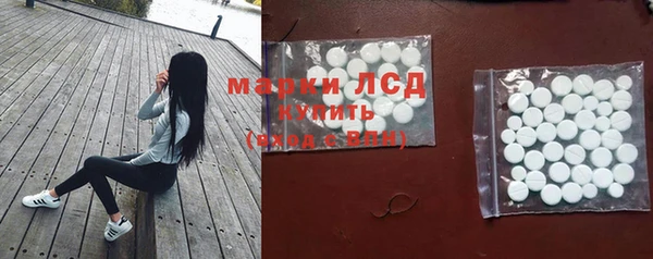 гидра Инта