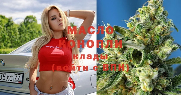 гидра Инта