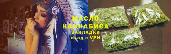гидра Инта
