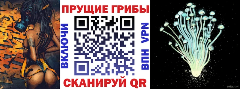Галлюциногенные грибы Magic Shrooms Купить где Стрежевой